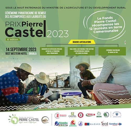 Cérémonie panafricaine de remise du Prix Pierre Castel 2023