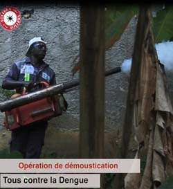 Éliminons les larves de moustique de la Dengue