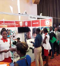 Workin’ Planet : les jeunes diplômés à la rencontre de SOLIBRA