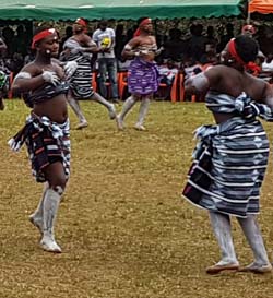 Tchédan Festival : BOCK au cœur de la tradition