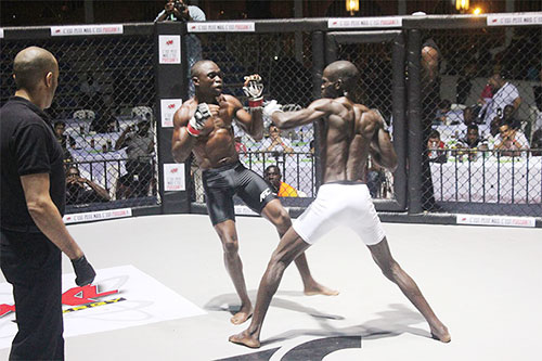 COMBATS MMA AVEC XXL : LA COTE D’IVOIRE FAIT MONTRE DE SA PUISSANCE
