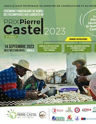 Cérémonie_panafricaine_de_remise_du_Prix_Pierre_Castel_2023